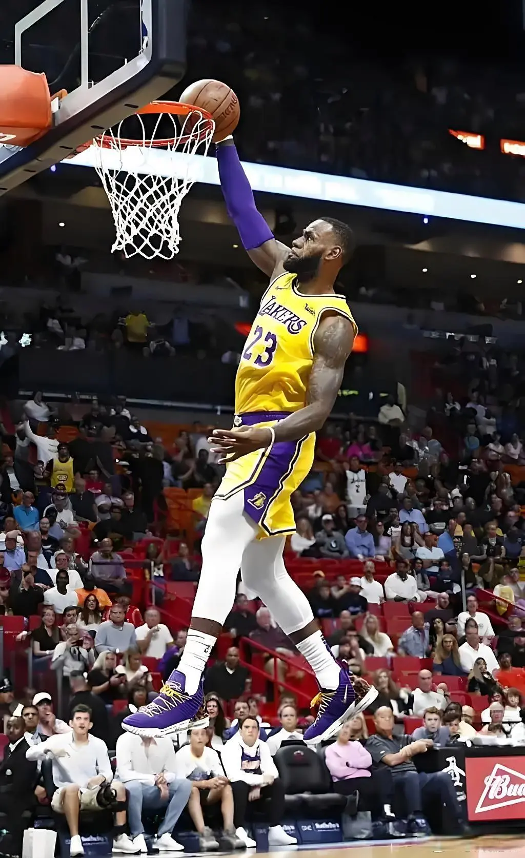 但仅凭借身, 大卫, img 但仅凭借身, 大卫, img